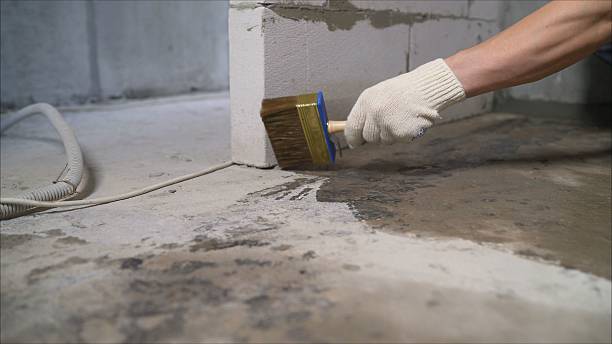 24/7 Emergency Waterproofing experts in Mount Olive, AL